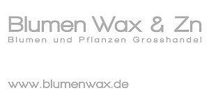 Blumen Wax