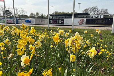 Bloembollenmengsel verwelkomt bezoekers bij VVSB