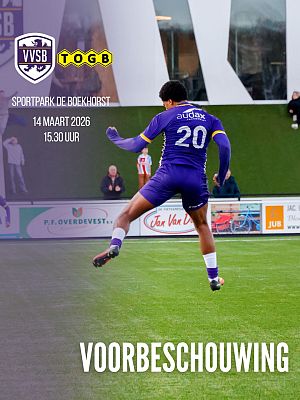 Voorbeschouwing VVSB - TOGB