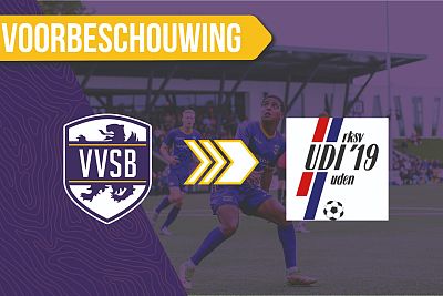 Voorbeschouwing VVSB - UDI'19