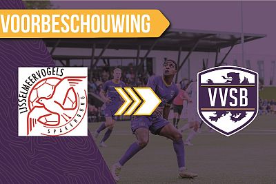 Voorbeschouwing IJsselmeervogels - VVSB