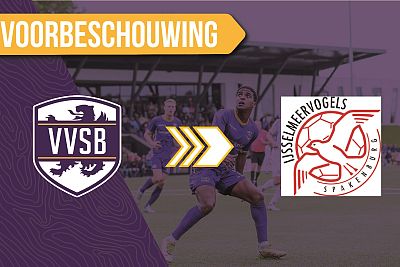 Voorbeschouwing VVSB - IJsselmeervogels