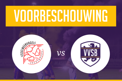 Voorbeschouwing IJsselmeervogels - VVSB