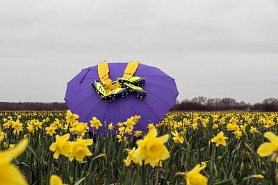Dit weekend Easter Open tournaments op de Boekhorst 
