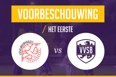 Voorbeschouwing IJsselmeervogels - VVSB
