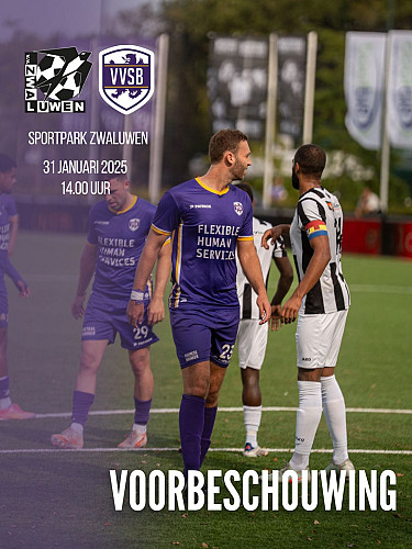 Voorbeschouwing Zwaluwen - VVSB