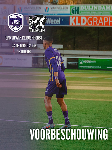 voorbeschouwing VVSB - Zwaluwen