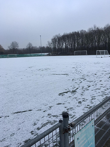 Training 31 januari 2019