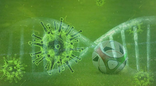 Extra maatregelen op Sportpark de Boekhorst