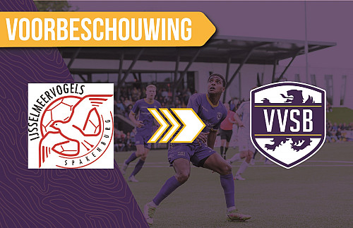 Voorbeschouwing IJsselmeervogels - VVSB