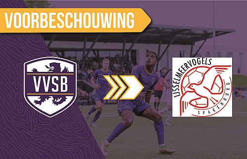 Voorbeschouwing VVSB - IJsselmeervogels