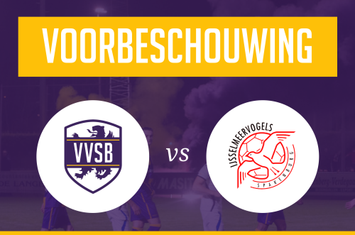 Voorbeschouwing VVSB – IJsselmeervogels