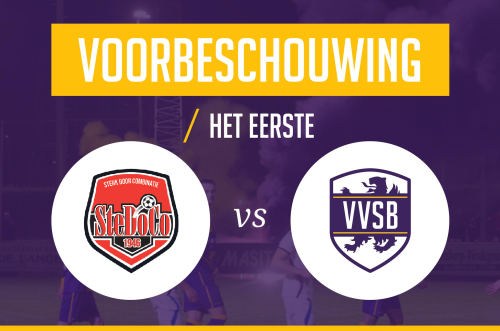 Voorbeschouwing SteDoCo - VVSB