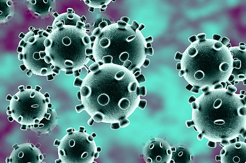 VVSB en het coronavirus