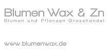 Blumen Wax